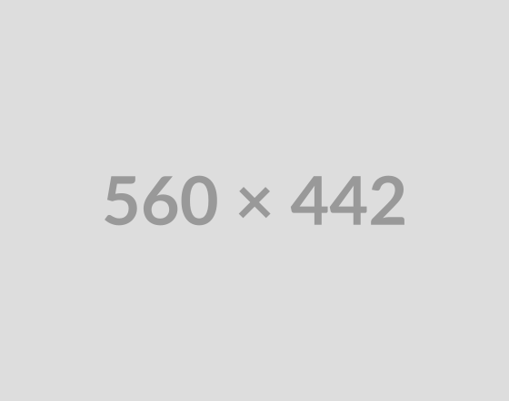 Consulting Digital Agency specializing in This Field